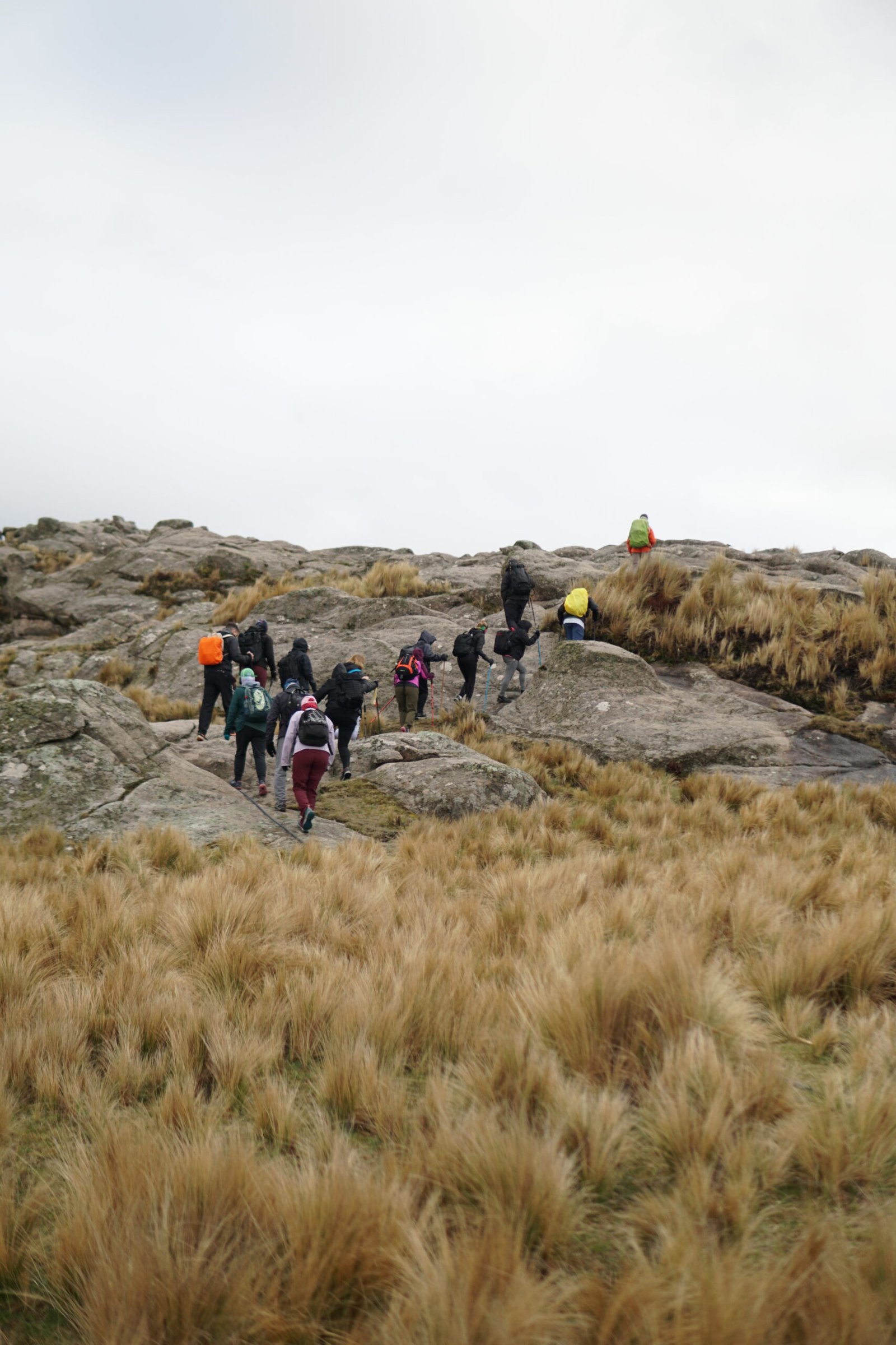 Trekking guiado